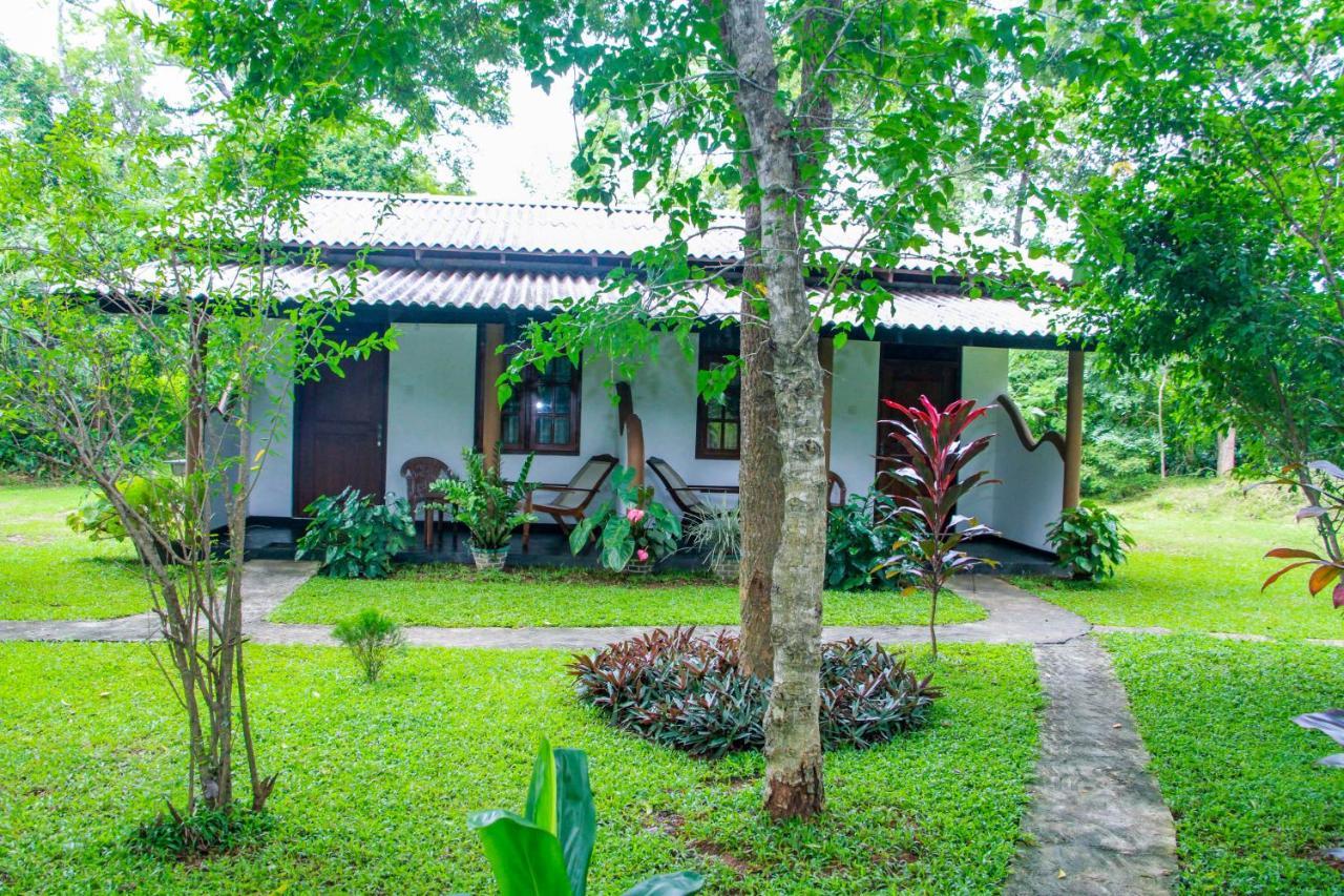 Nimsara Lodge Sigiriya Exterior foto